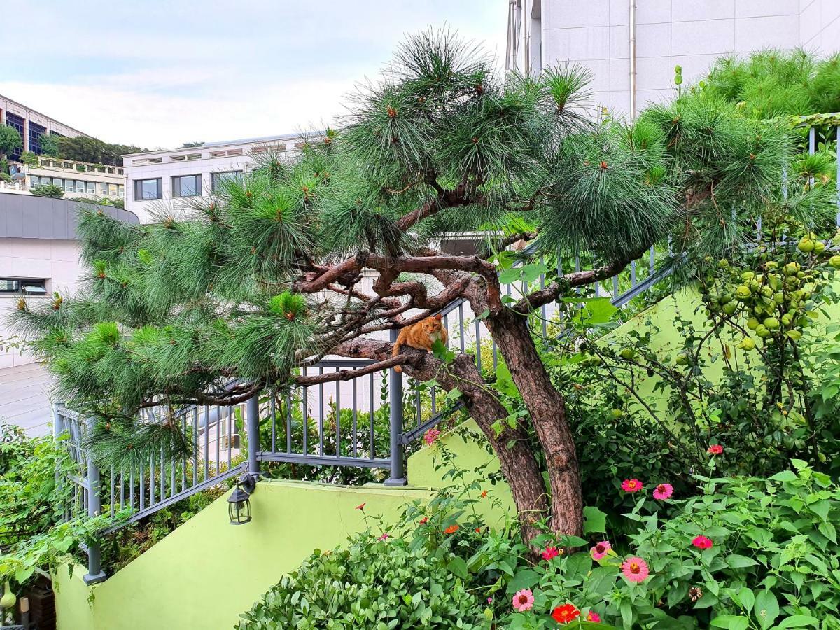 Happy Garden Guesthouse Seoul Exteriör bild